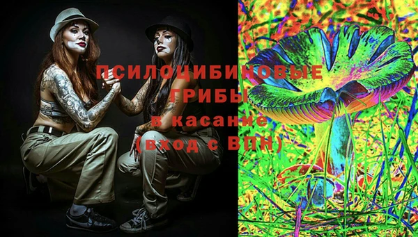 крисы Алзамай